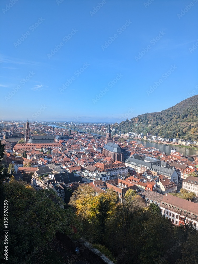 Fototapeta premium panorama of Heidelberg 