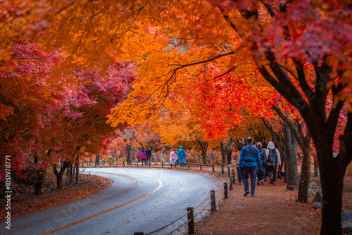 Autumn in Korea, Colorful autumn with beautiful maple leaf at Naejangsan national park, South Korea. photo