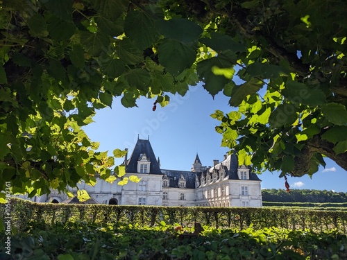 Castle in france