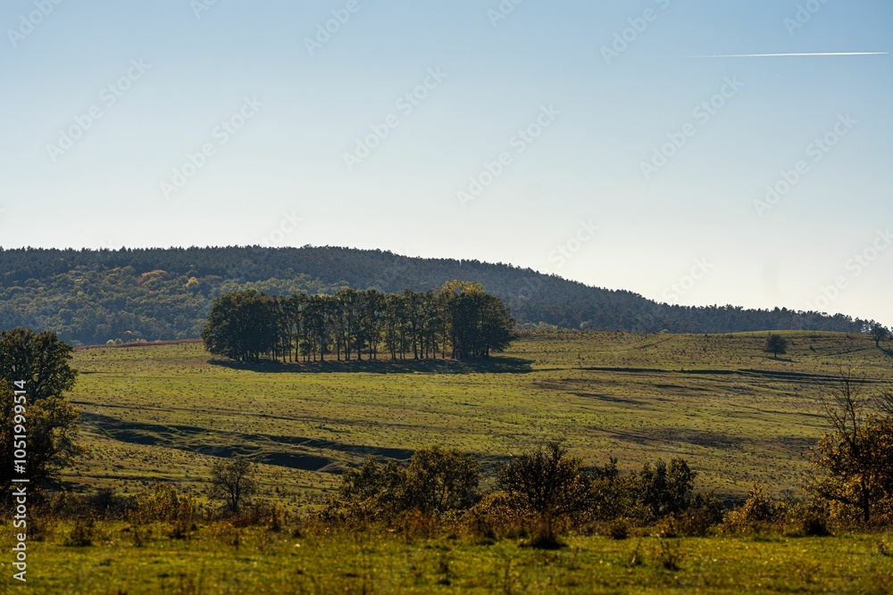 Obraz premium Scenic rural landscape with a lone cow grazing on a green hillside under a clear blue sky