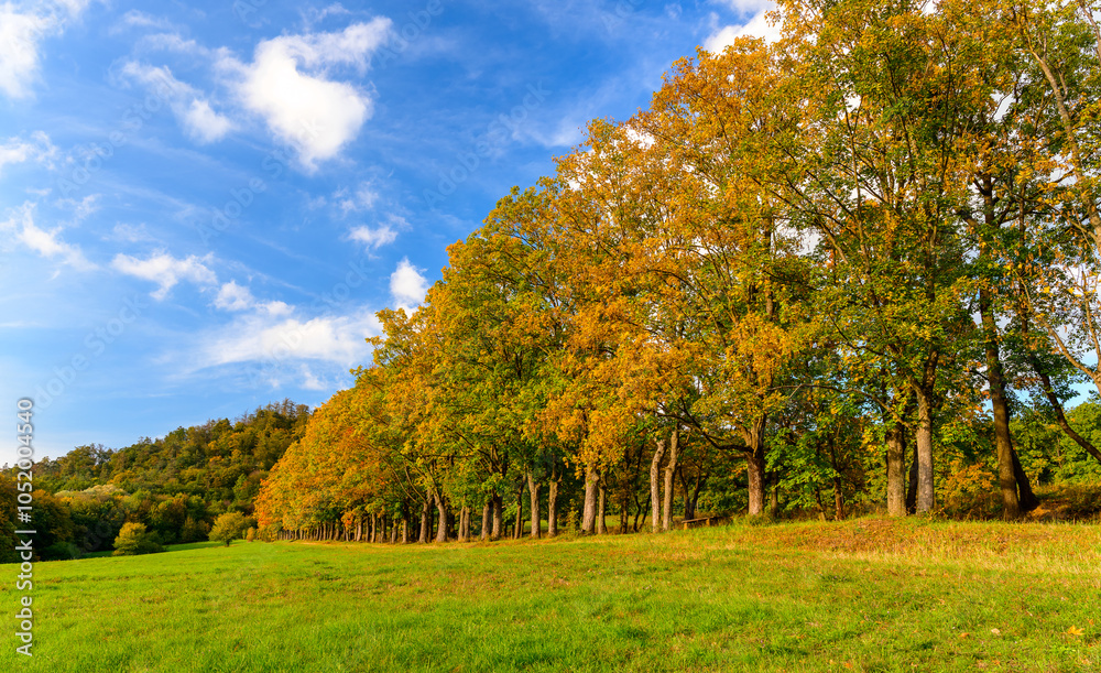 Fototapeta premium Castle, Buchlov, autumn, landscape, forests