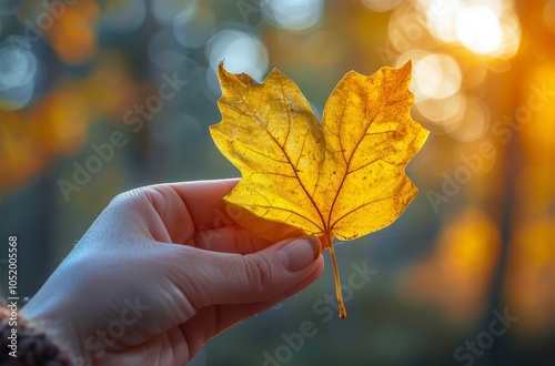 A Hand Holds a Golden Autumn Leaf Against a Blurred Forest Background