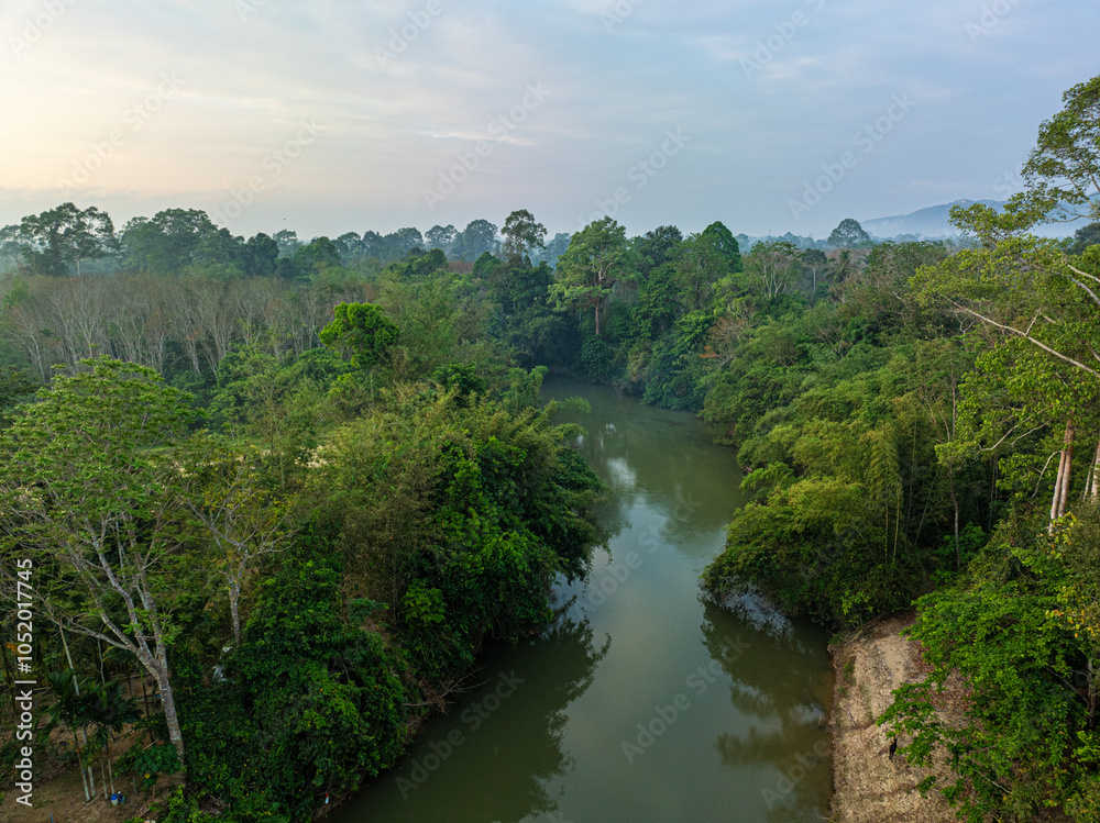 Aerial view tropical green tree foresr river ecology system Aerial view tropical green tree foresr river ecology system