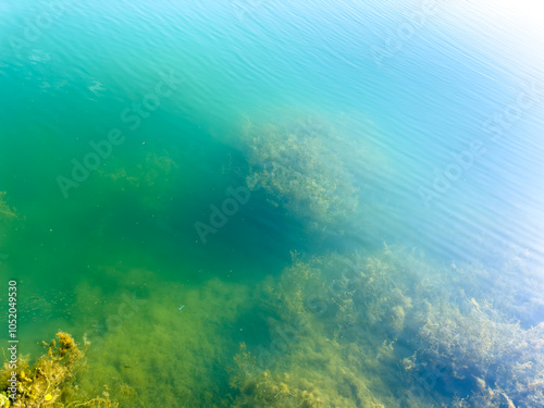 Clear water with visible underwater vegetation in Issyk-Kul lake. The purity and natural beauty of Kyrgyzstan's nature