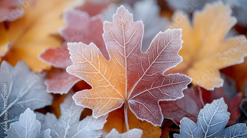 Frosted Autumn Leaves -  Ma...