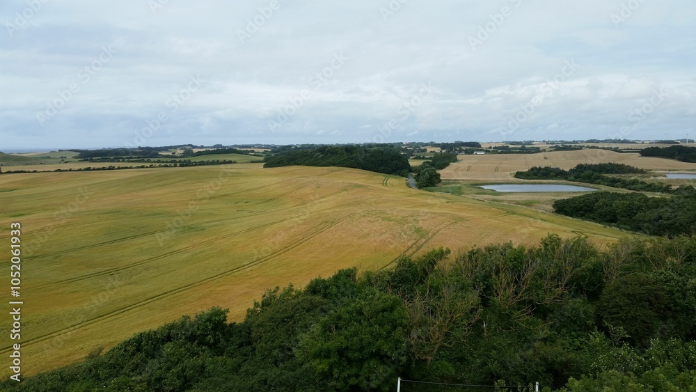 Fototapeta premium Serene countryside landscape with green fields.