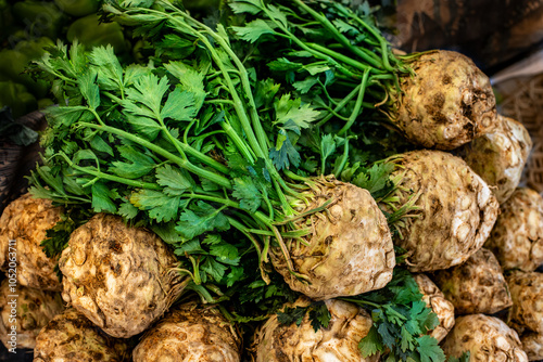 Fresh raw celery roots with their stem on table