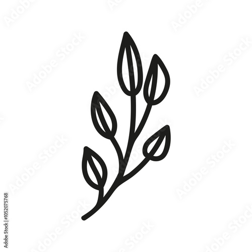 Hand drawn tea twig foliage, herbal branch. Linear doodle clipart