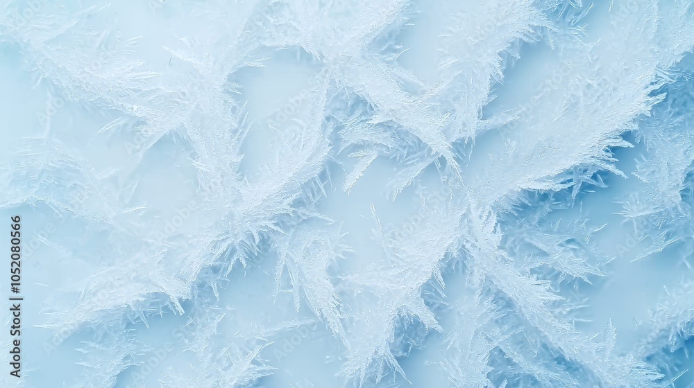 Intricate patterns of frost a close-up exploration of nature's winter artwork unveiling the beauty of ice crystals Intricate patterns of frost a close-up exploration of nature's winter artwork unveiling the beauty of ice crystals
