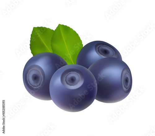 Blueberry, swamp huckleberry, ripe berries realistic superfood isolated icon. Vector blue berries fruits, food from farm garden and wild forest. Dietary superfruit, healthy organic food supplement