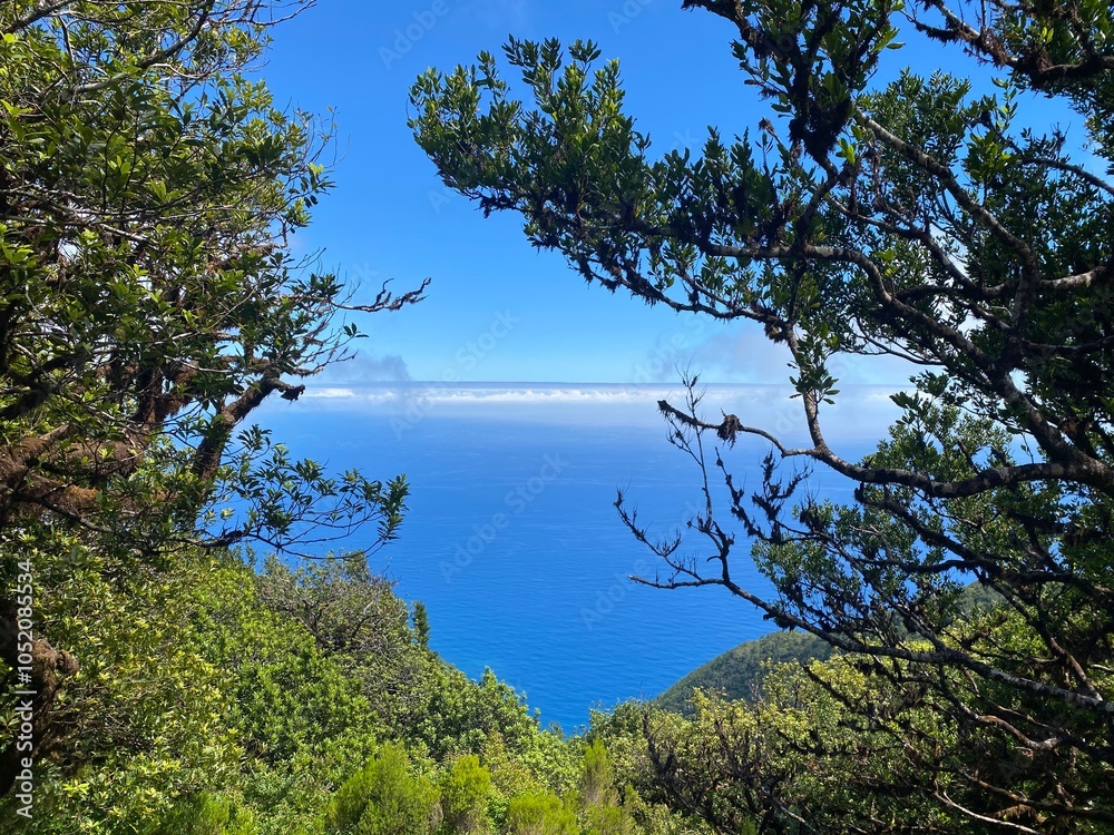 Obraz premium Madeira, Insel, traumhaft