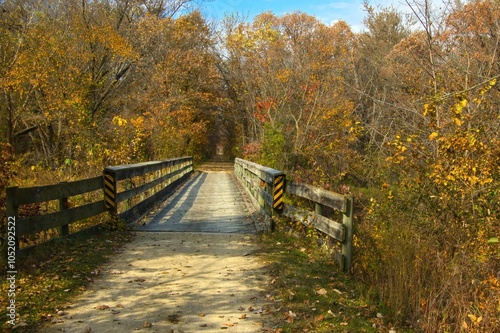 Sunny Autumn landscape of a small wooden bridge in a colorful Autumn forest along the Great River State Trail near Trempealeau, Wisconsin. photo