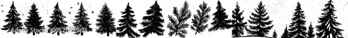 Forest, pencil sketch. Modern sketch, banner.