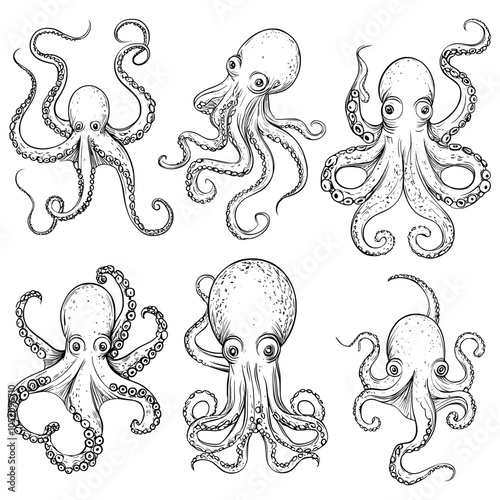 Modern tattoo illustration of octopus tentacles, a hand-drawn squid creature