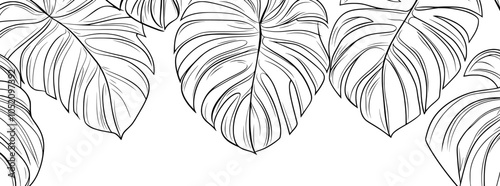 An abstract tropical leaf line art wallpaper background featuring real Monstera leaves and banana leaves in a modern minimalist style. Design for fabric, prints, covers, banners, and decorations.