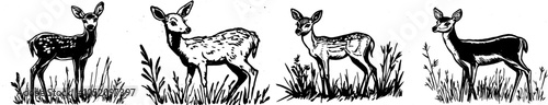The sketch of a deer in hand drawn doodle style is a modern illustration design.