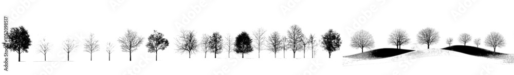 Line drawing, side view, graphics, outline symbols for landscape design drawing. CAD drawings, modern illustration in stroke fill in white.