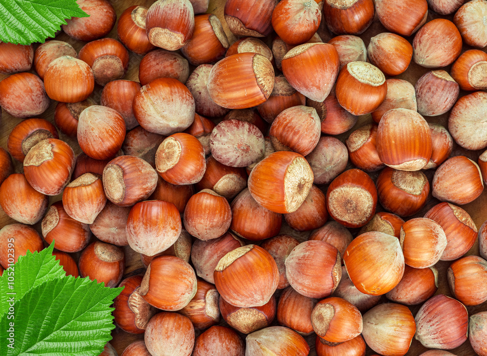 Hazelnuts or filberts nuts in shell close up, top view. Hazelnuts or filberts nuts in shell close up, top view.