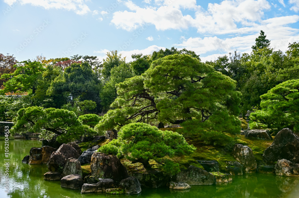 Obraz premium The Japanese gardern view of nijo jo castle, Kyoto, Japan. World Heritage Site, Japanese old traditional architecture in Kyoto, Japan. Background landscape of the beauty of Nijo Castle at sunny day.