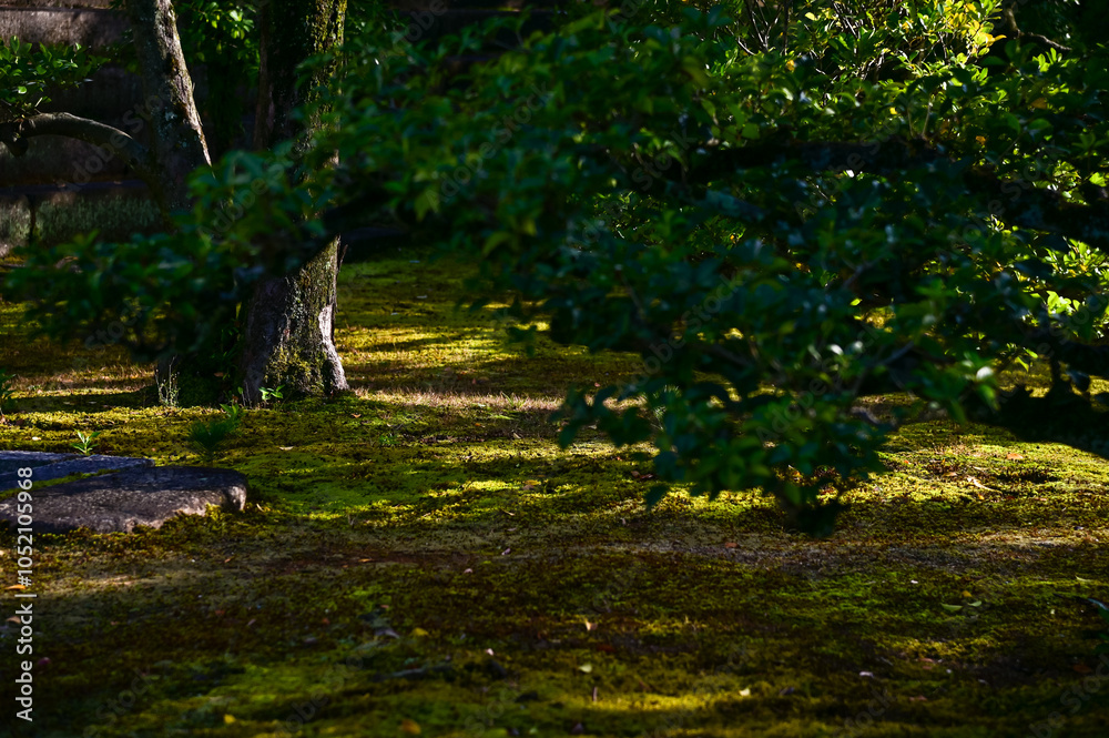 Φωτογραφία The Japanese gardern view of nijo jo castle, Kyoto, Japan