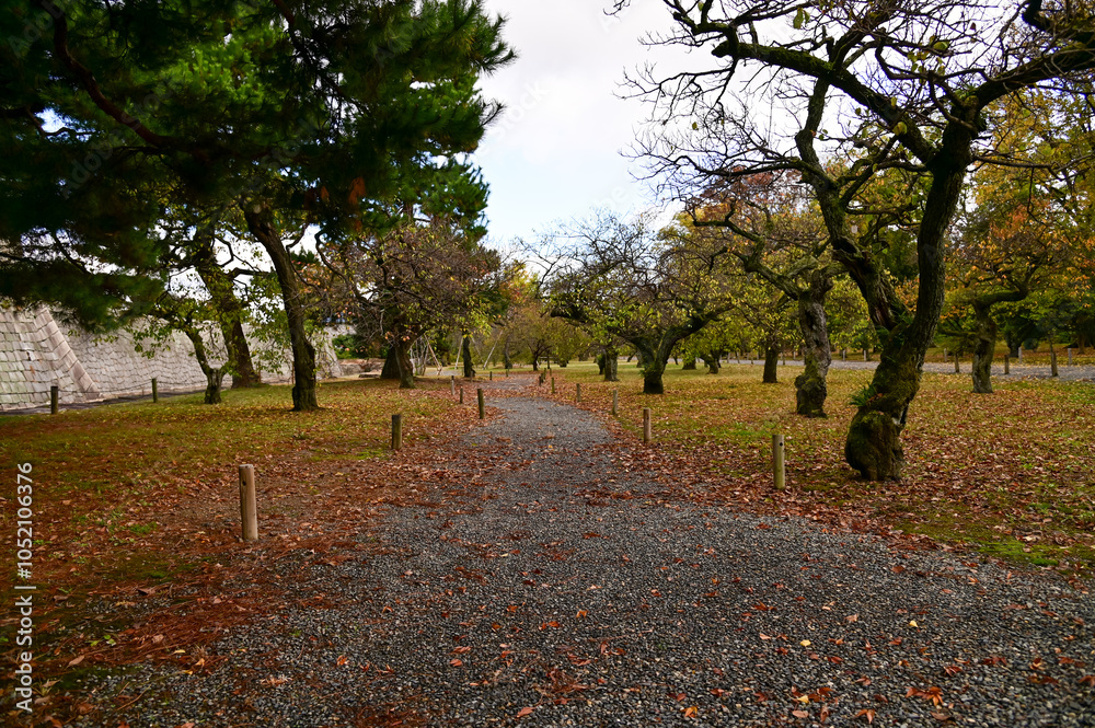 Φωτογραφία The Japanese gardern view of nijo jo castle, Kyoto, Japan