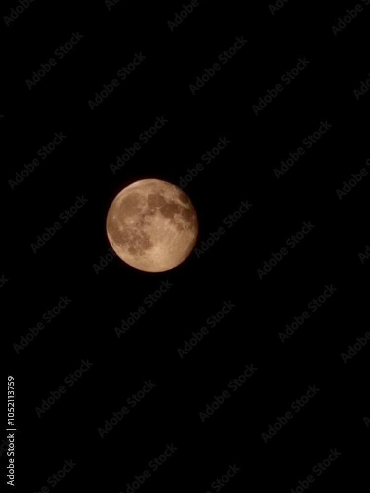 Fototapeta premium October moon