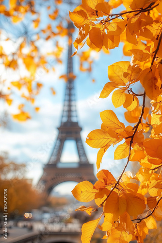 Beautiful Parisian cityscape with yellow leaves on a fall day. Autumn in Paris, France.