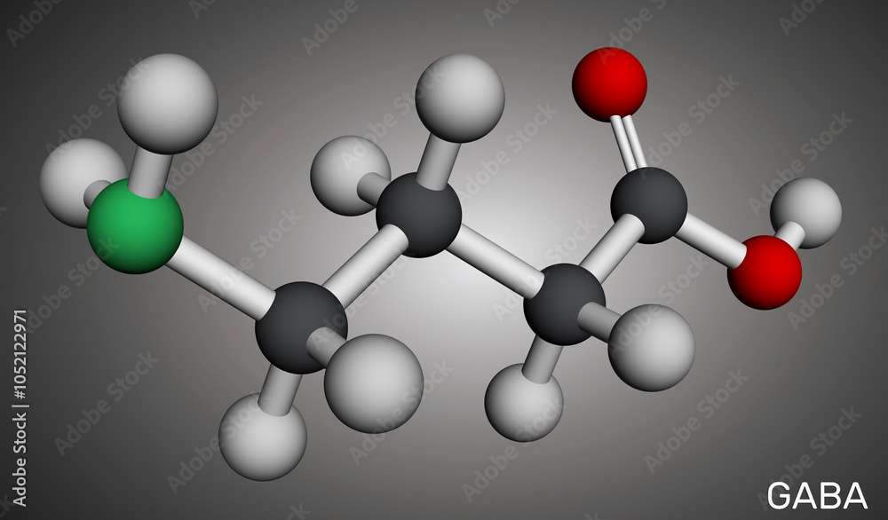 Fototapeta premium Gamma-aminobutyric acid (GABA) molecule. Chemical structure of relaxation neurotransmitter. Molecular model. 3D rendering