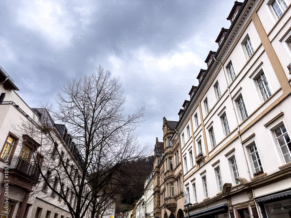 Fototapeta premium Antique building view in Heidelberg, Germany