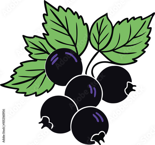 Illustration of blackcurrant berries with green leaf, Vector illustration of blackcurrant berries clustered together with a green leaf, showcasing a simple, minimalistic design. 
