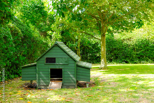 Small, wooden built chicken house seen with the entrance flap opened. The small flock of chickens are somewhere in the large garden.