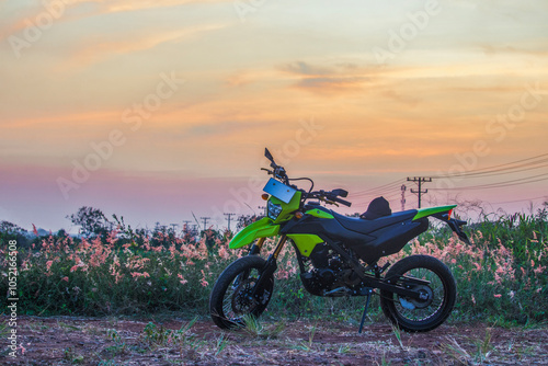 Canvastavla Dirt bike with hat on a patch of flowering grass (melinis repens) against the ni