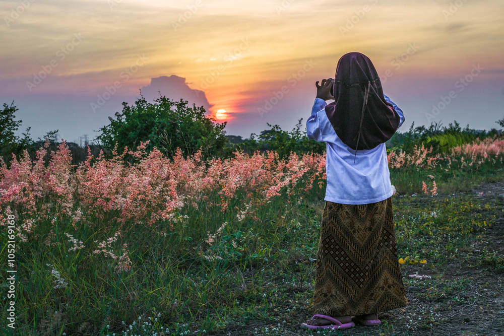 Fototapeta premium Little Asian girl captures sunset using smartphone on a plot of land filled with pink flowers (melinis repens)