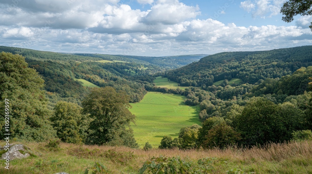 Fototapeta premium Panoramic Valley Landscape