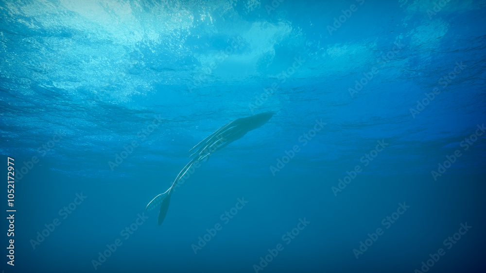 Fototapeta premium Giant deep sea squid swims underwater