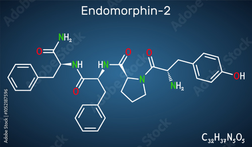 Endomorphin-2 molecule. Natural opioid peptide with analgesic properties. Structural chemical formula on the dark blue background. Vector