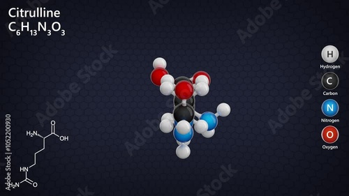 Citrulline. Non-essential amino acid. Animated 3D model of a molecule. Molecular formula: C6H13N3O3. Chemical model: Ball and stick. Dark background. 3D rendering. Seamless loop. photo