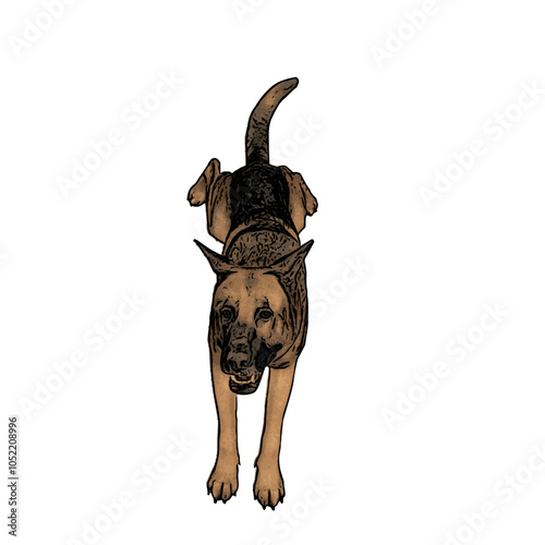 German Shepard dog animal vector ilustration isolated design on white background 