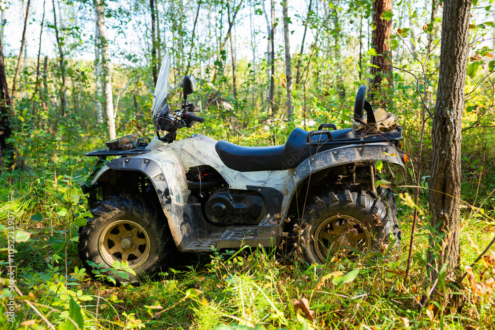 Fototapeta premium An all terrain vehicle rests in a dense forest, surrounded by tall trees and thick underbrush. Quad bike or ATV in sunny forest, side view
