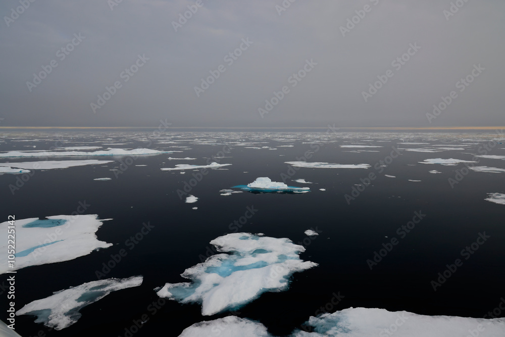 Obraz premium Moving Ice in the Arctic Pack