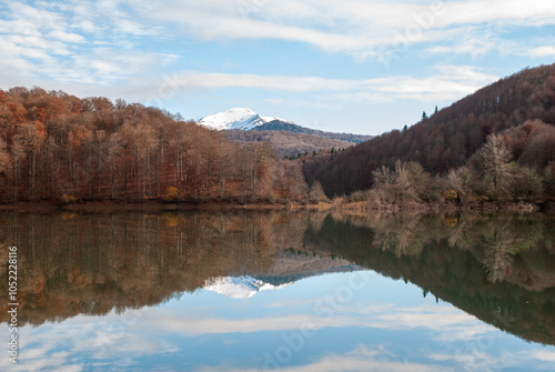 Reflection of the Irati Forest in the Water