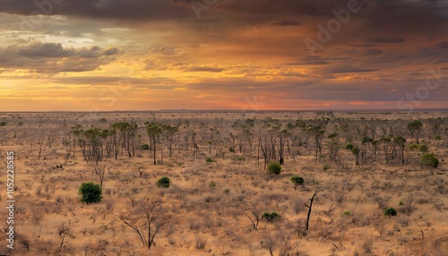 Expansive Gran Chaco Dry Plains