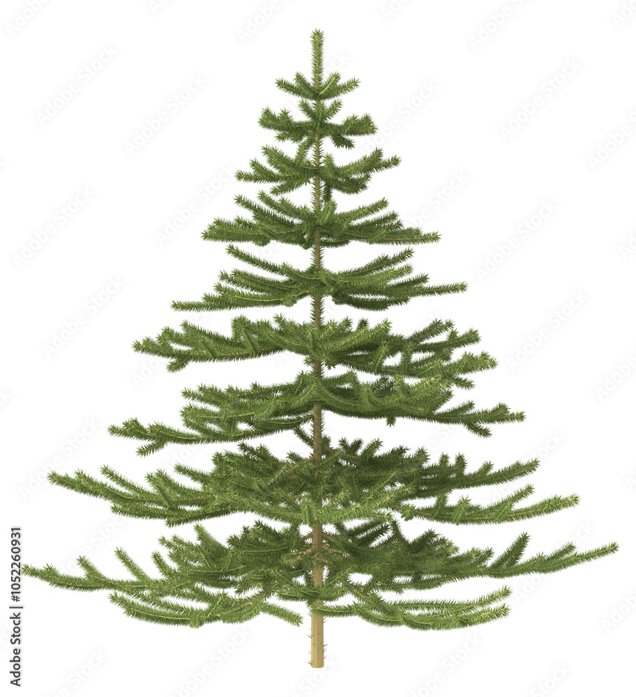 Fototapeta premium Christmas tree without decorations. 3d illustration isolated on white