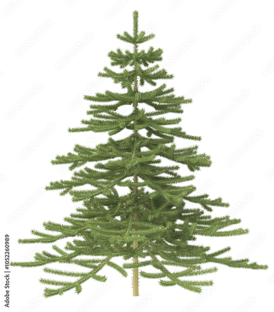 Fototapeta premium Christmas tree without ornaments. 3d illustration isolated on white