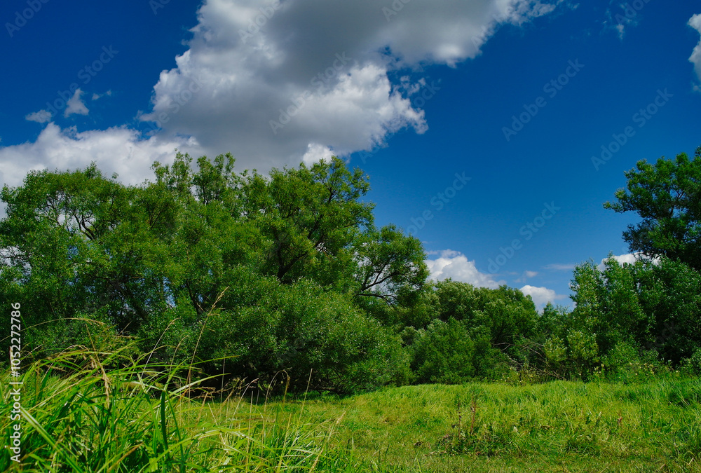 Summer landscape, clouds over the forest, green forest and sky Summer landscape, clouds over the forest, green forest and sky