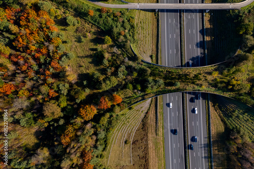 Autumn coloured forest aerial wildlife crossing De Borkeld forming a safe natural corridor bridge for animals to migrate between conservancy areas seen from above with traffic passing by on interstate