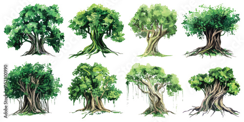 Set watercolor old weeping banyan trees with thick trunk roots design resources elements isolated on transparent background