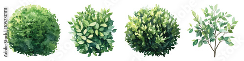 Set watercolor green bushes lush shrubs gardening design resources elements isolated on transparent background