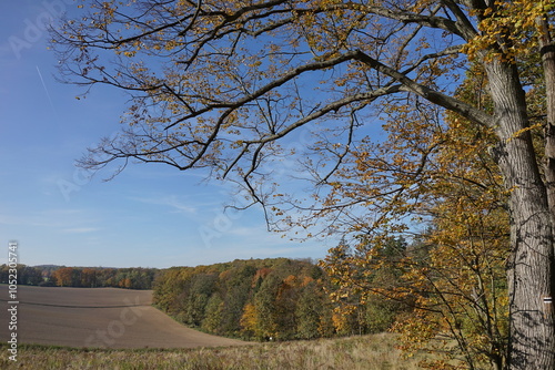 Pogórze Kaczawskie, Polska photo