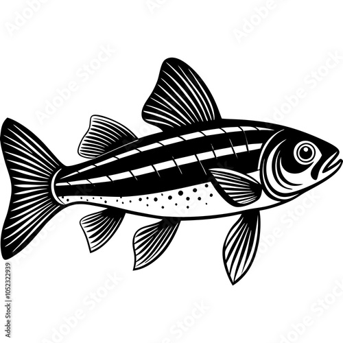 fish isolated on white